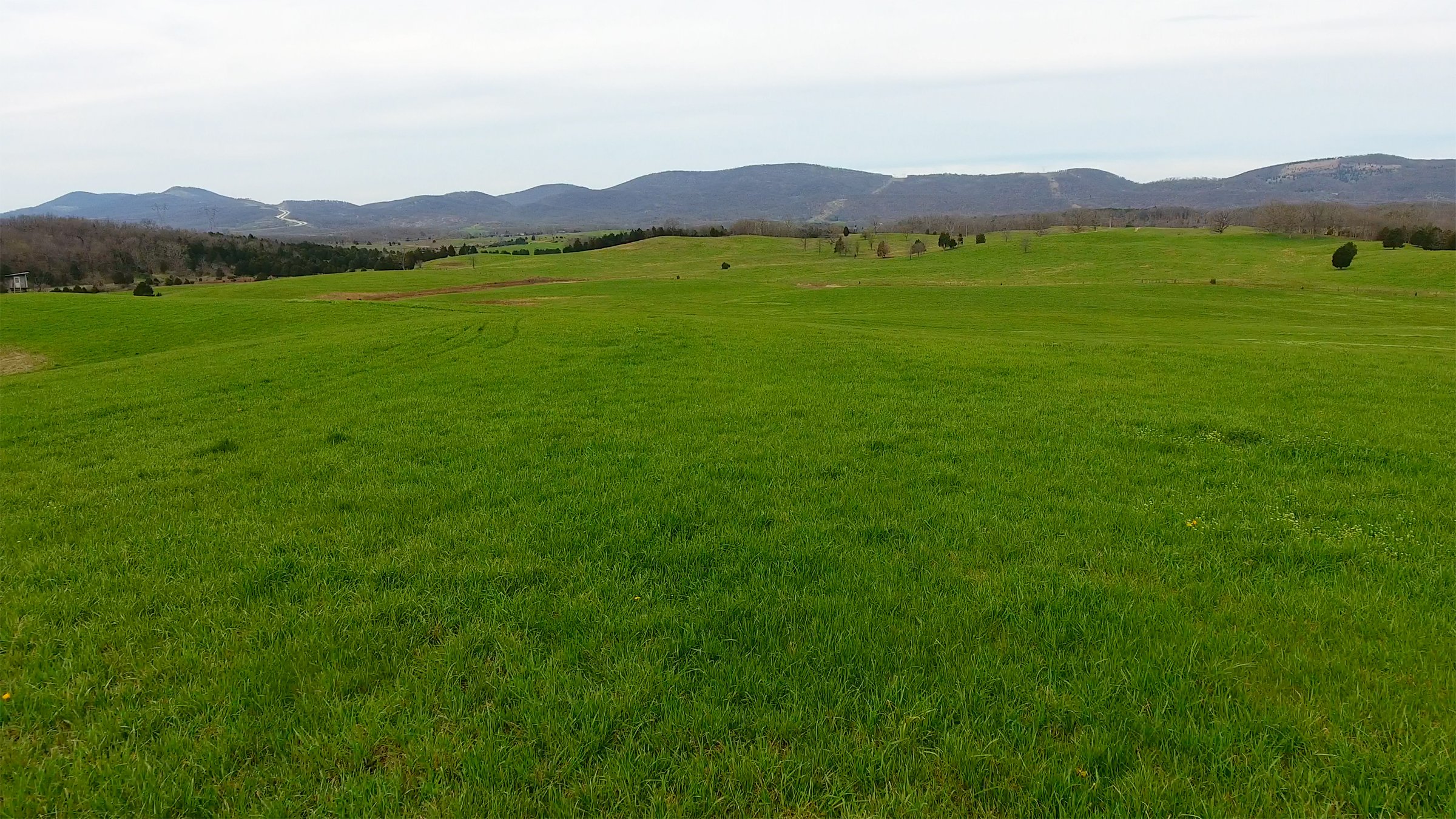 Property photo 17 - LAND AUCTION - 533+/- ACRES OFFERED IN 5 TRACTS IN HARDY COUNTY, WEST VIRGINIA